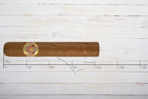 Ramon Allones Specially Selected, Robusto, Ring 50, Länge: 124 mm