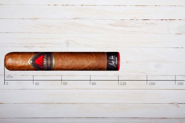 Cumpay Zigarren Robusto, Ring 50, Länge: 121 mm