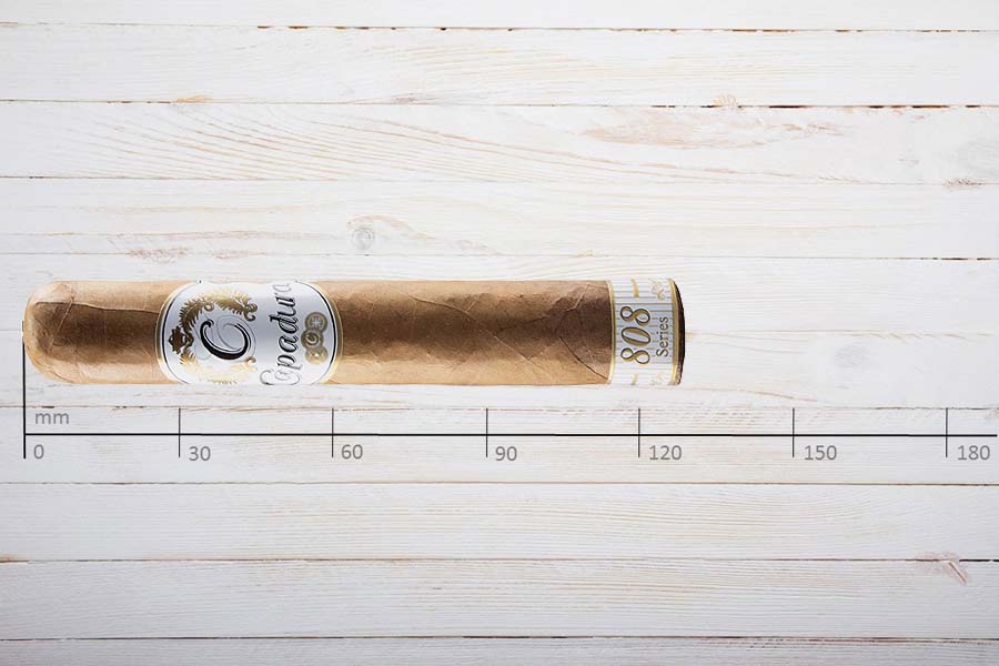 Capadura Zigarren Serie 808 Robusto, Ring 50, Länge 127 mm