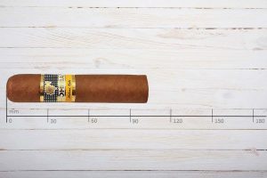 Cohiba Zigarren Medio Siglo, Petit Robusto, Ring 52, Länge: 102 mm
