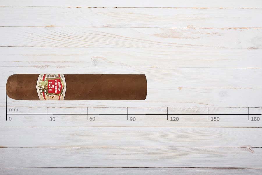 Hoyo de Monterrey Habana Zigarren Petit Robusto, Ring 50, Länge: 102 mm