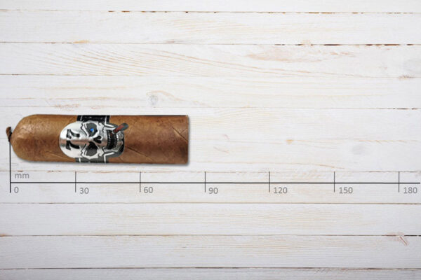 Cigare / Skull 77 El Nino, Gordito, Ring 58, Länge: 83 mm