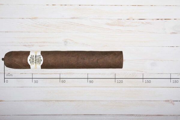 Alonso Menendez Zigarren Robusto, Ring 50, Länge: 127 mm