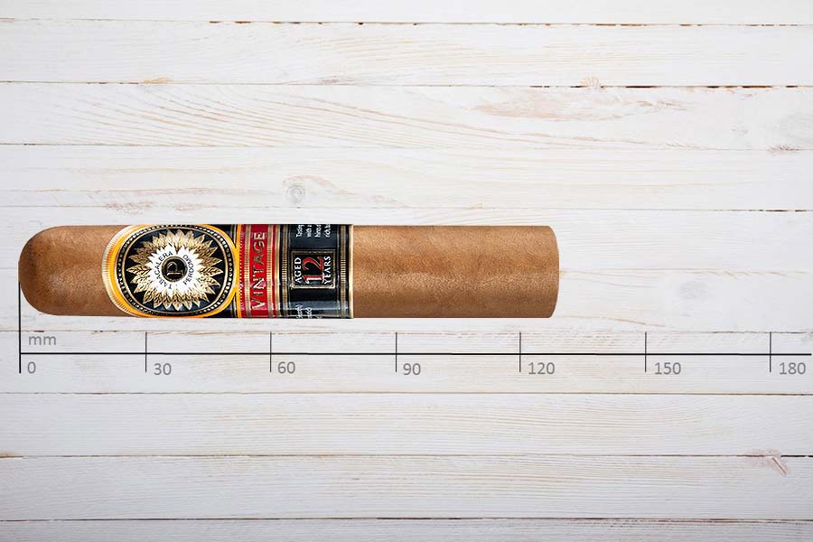 Perdomo Double Aged 12 Years Vintage Zigarren Connecticut Robusto, Ring 56, Länge: 127 mm