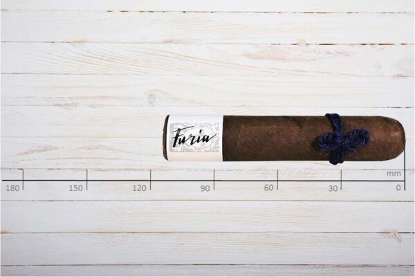 Furia Zigarren mit blauem Wollfaden, Alecto, Short Robusto, Ring 56, Länge: 114 mm