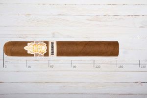 CigarKings Zigarren Nicaragua Toro Sun Grown, Ring 52, Länge 152 mm