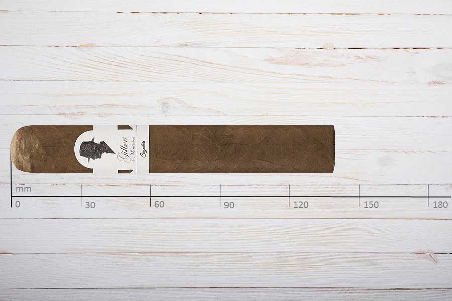 Gilbert de Montsalvat Cigars Signature Gran Robusto