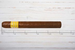 Horacio Pasion 44 Cigars, Corona